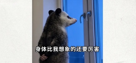 为什么被人咬一口，可能比被动物咬更危险？