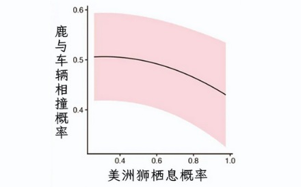 为什么在美国的路边出现美洲狮，司机反而会更加安全？