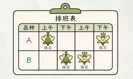 为什么有些牛油果树上午是雌性，下午就能变成雄性？
