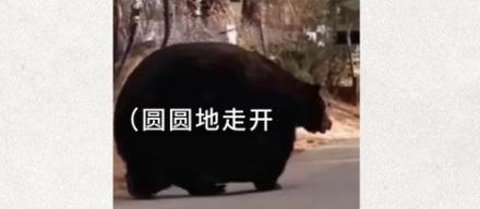 为什么日本的温泉旅馆里会放一个铃铛？