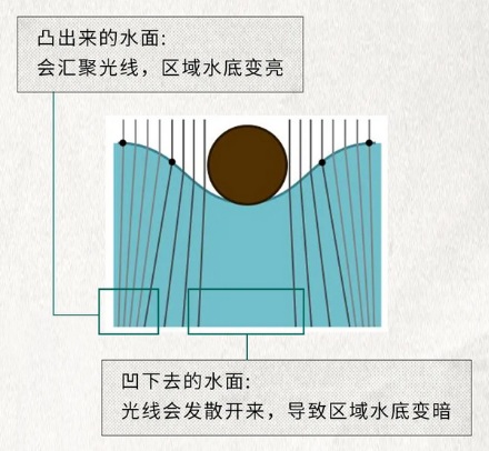 为什么飘在水上的头发丝的影子是一节一节的？