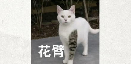 为什么说有纹身的人做核磁共振可能会「失败」？