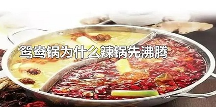 为什么鸳鸯锅的辣锅总是先沸腾？