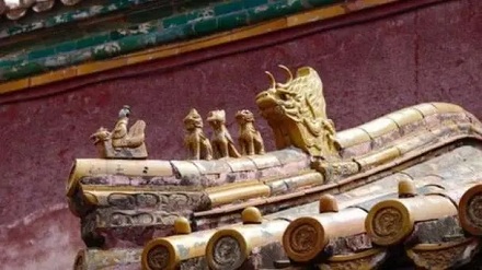 为什么没有鸟敢在故宫的屋顶拉屎?