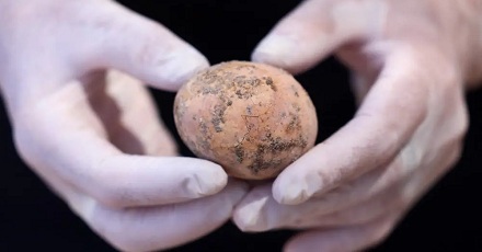 为啥考古学家，最怕挖到鸡蛋？