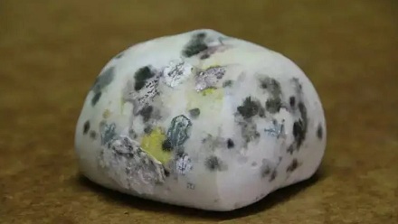 发霉的馒头真不建议再吃了!节俭,不是冒险…