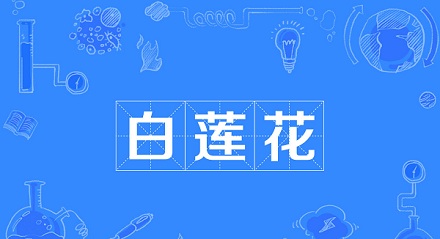 说一个人「白莲花」是什么意思？