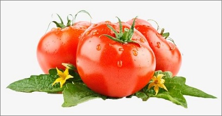 番茄曾经只是观赏植物？
