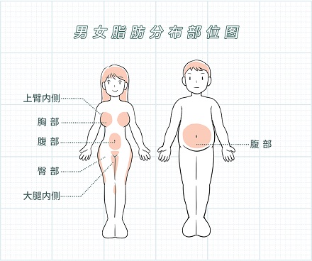 为啥女生要比男生白呢？